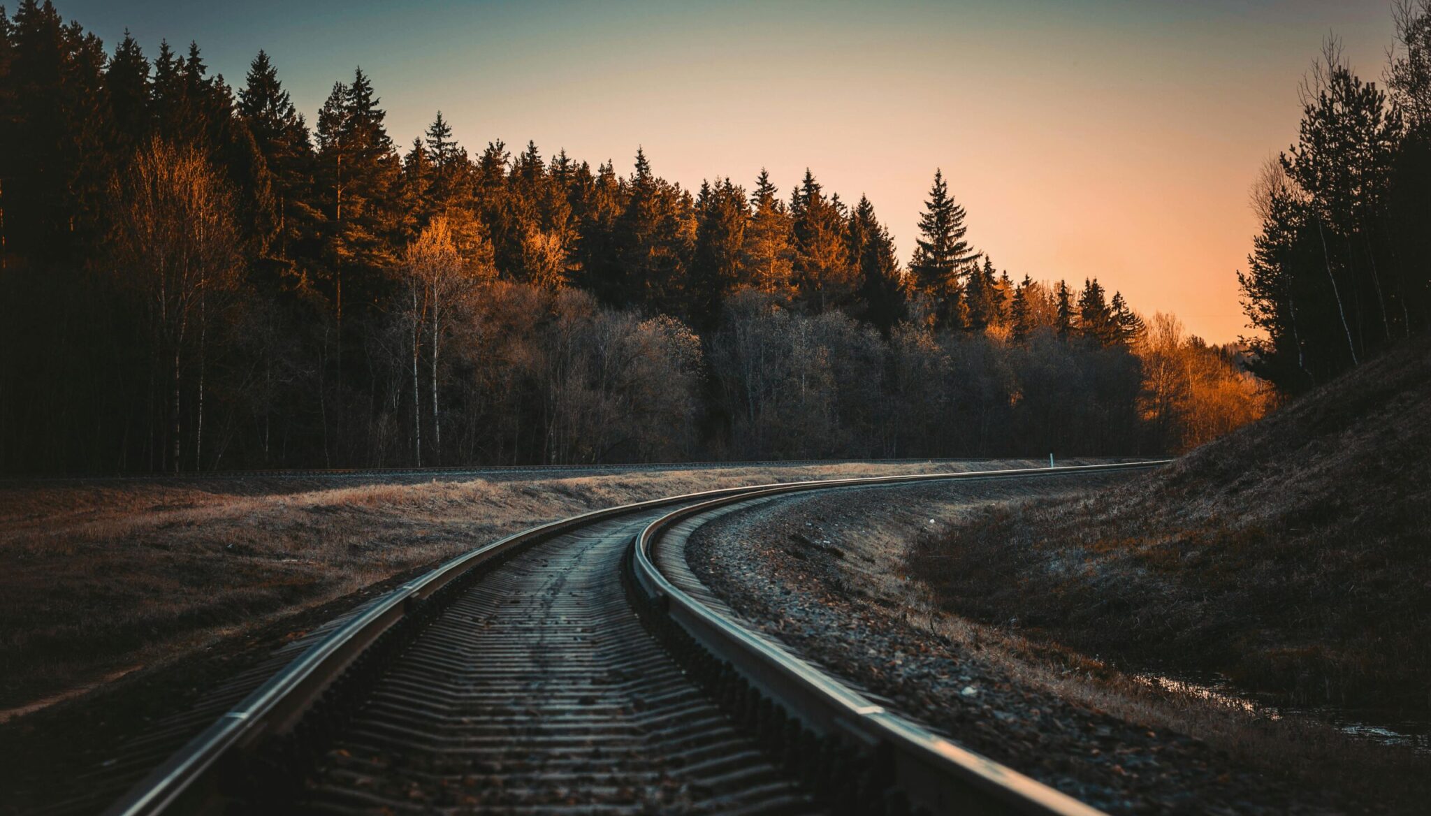 A serene view of a railway track in a forest at sunset with Autumn colors.